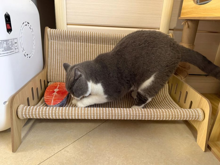 Когтеточка для кошек