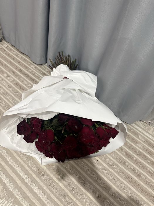 Цветы красные бордовые