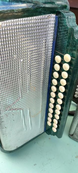 Баян или гармонь)