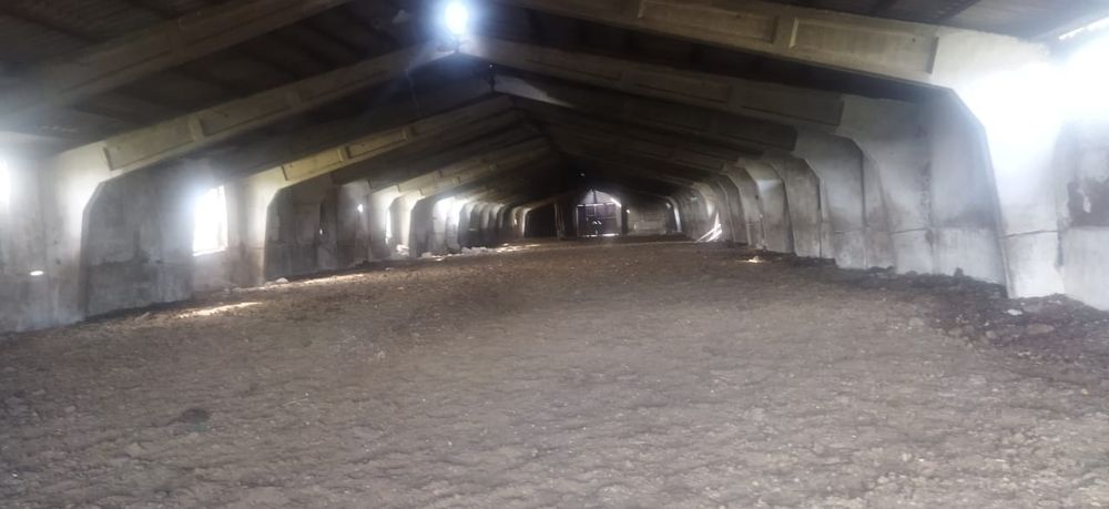 Продам крестьянское хозяйство