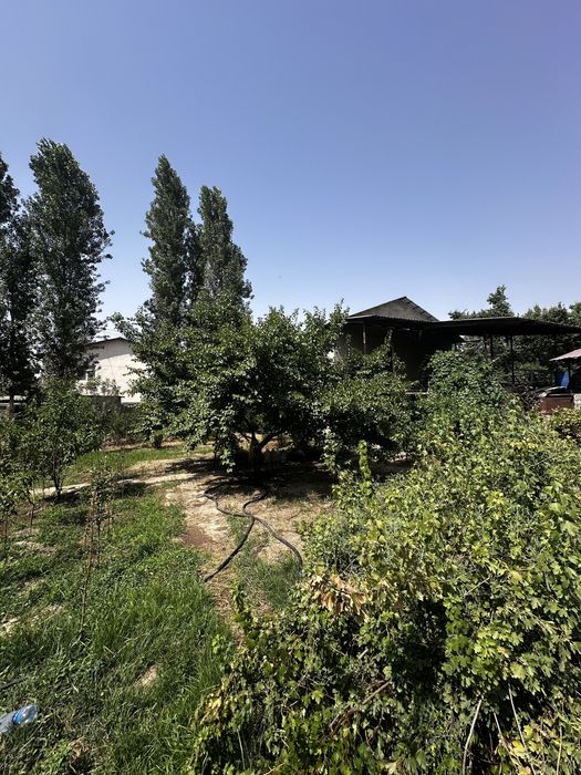 Shahar tashqarisida dalahovli sotiladi