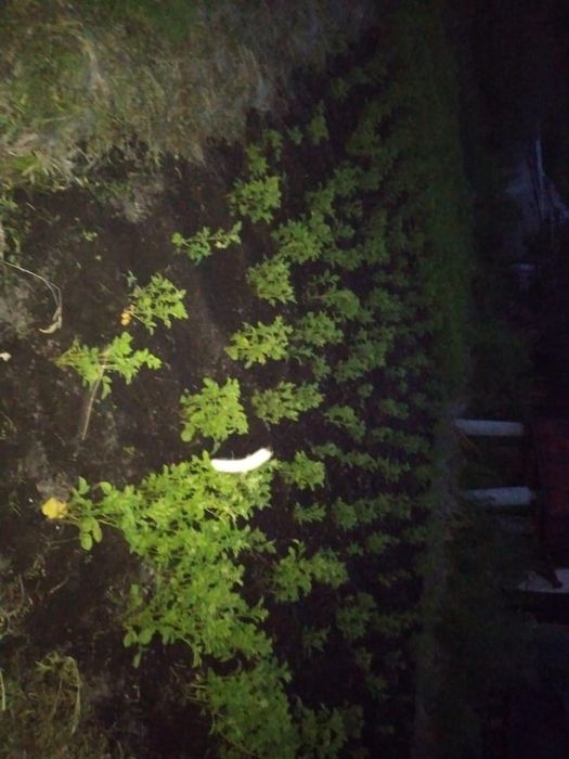 Земельный участок на Мирном