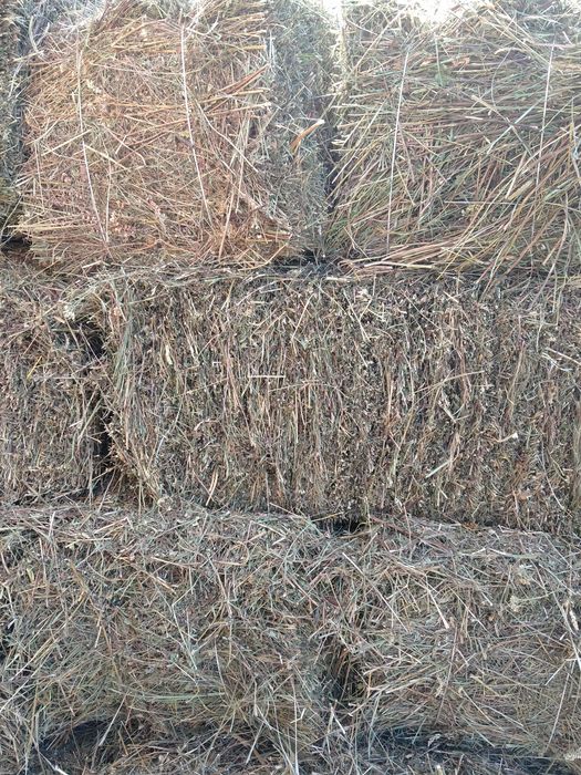Продам тюки сено горное