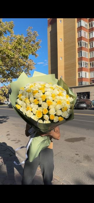 Цветы , 51 101 роза премиум качество