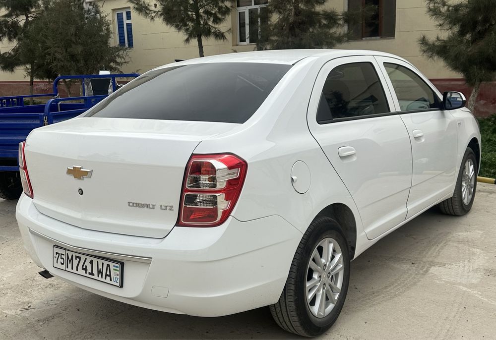 Cobalt 4 padisya 2023