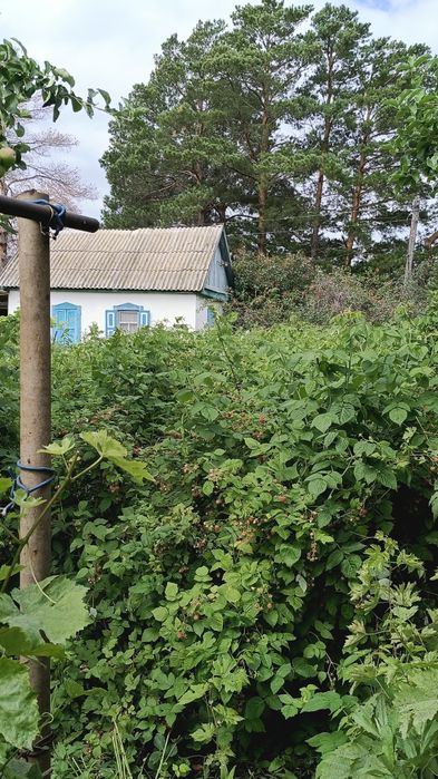 Продам дачу 16соток, город Алга 22 коллектив