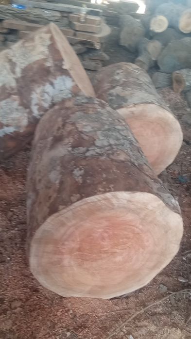 Goshtonkala sotladi 250$ dan