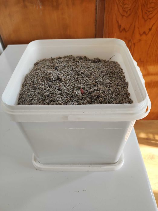 Продавам домашно отгледана орубена лавандула (само цвят)