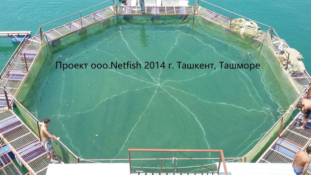 ЗУС Защитная сетка Рыба, Рыбы, балик,  балық ,  балык,   моҳӣ,   balyk