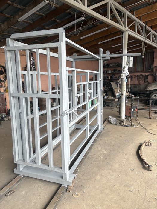 Раскол для жывотных