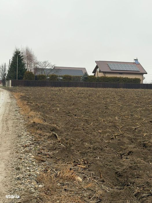Vand Teren Hemeiusi sat Liliecipe strada prelungirea crinului