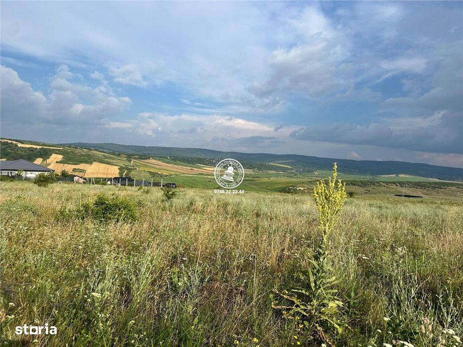 Teren de vanzare Dumbrava 633mp