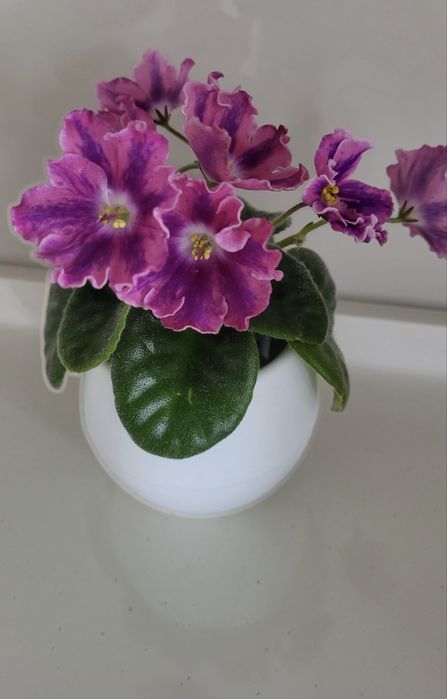 Цветочные горшки