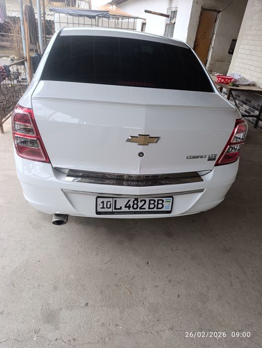 Кобиль 2019 тозза