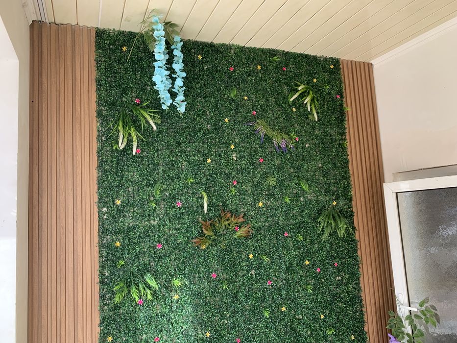 Декоративные короя мукунем