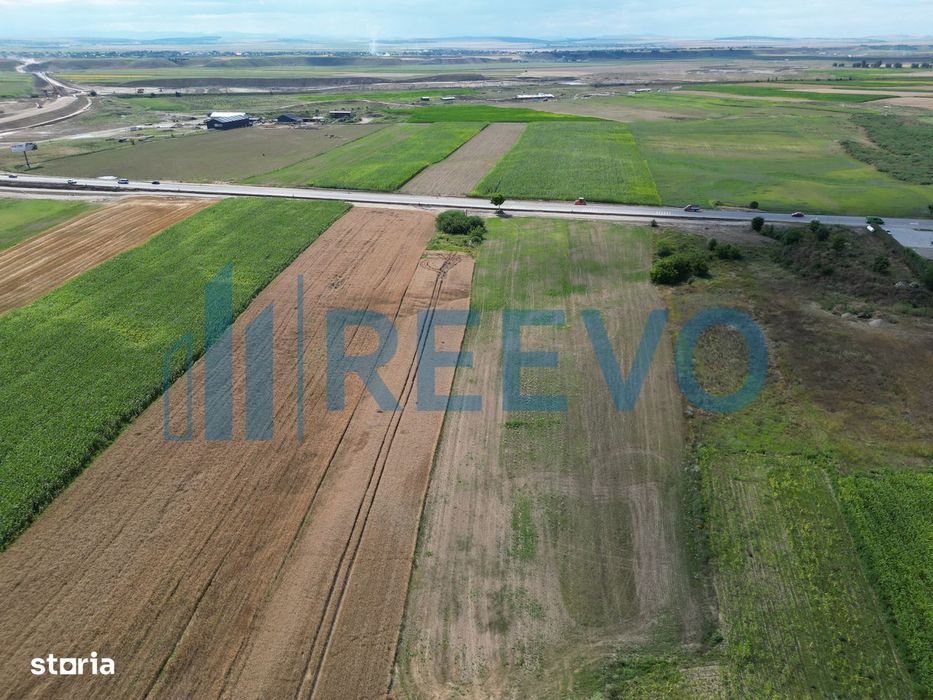 Teren 5.000 mp, E85, Roman