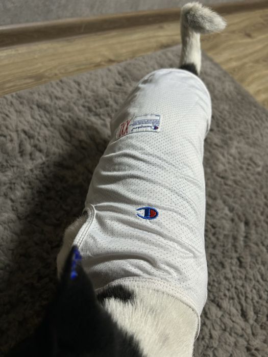 Вещи для собак. В отличном состоянии