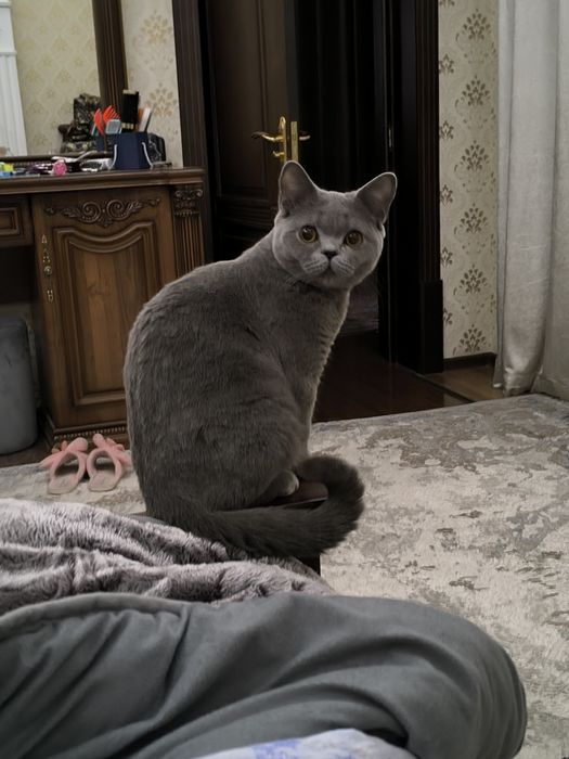 Yashirin kamera seks video orgazm