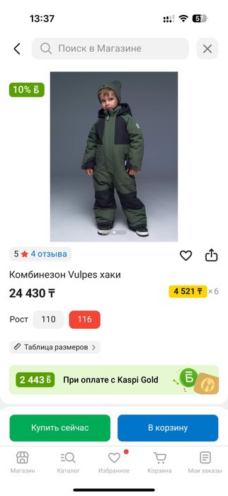 Зимний комбинезон Vulpes