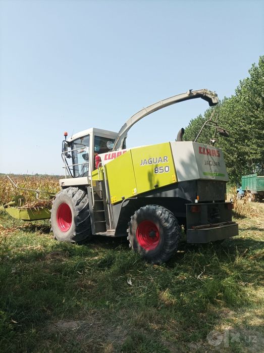 yaguar 850xolati sezonga tayyor2001yil