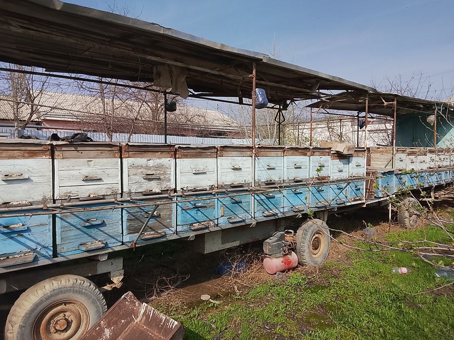 Пасека. Пчеловодный прицепы