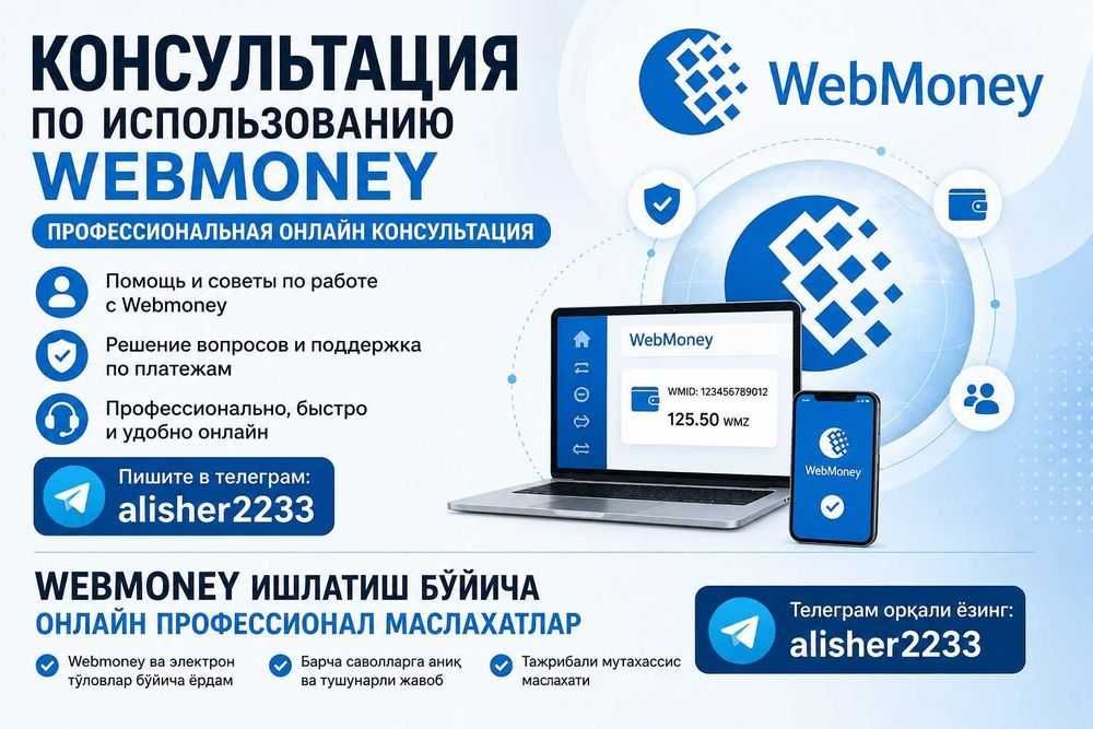 WMZ ishlatishboyicha maslahatlar, Консультация по вмз