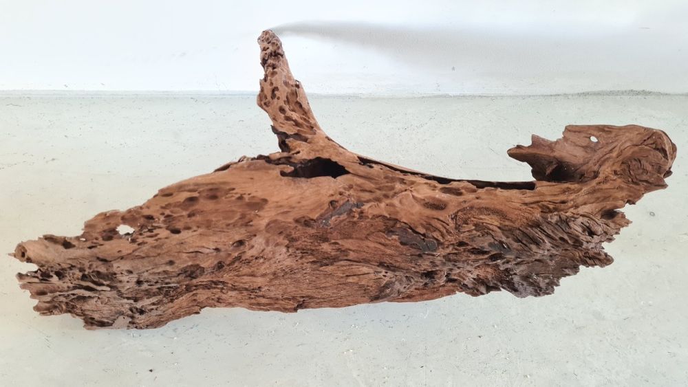 Buturuga / lemn mangrove pentru acvarii