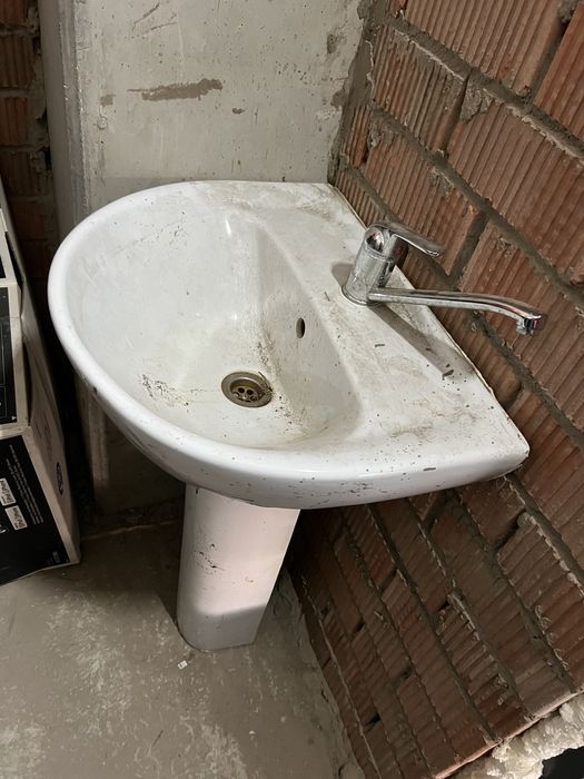 Продам тюльпан