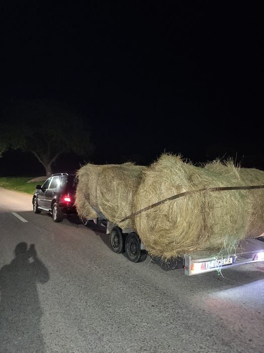 Transport marfă/utilaje