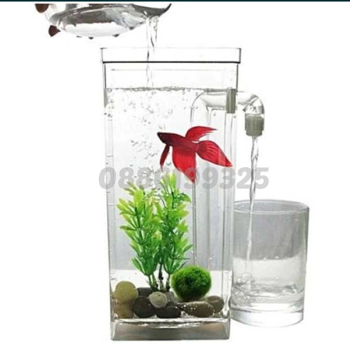 Самопочистващ се аквариум My Fun Fish