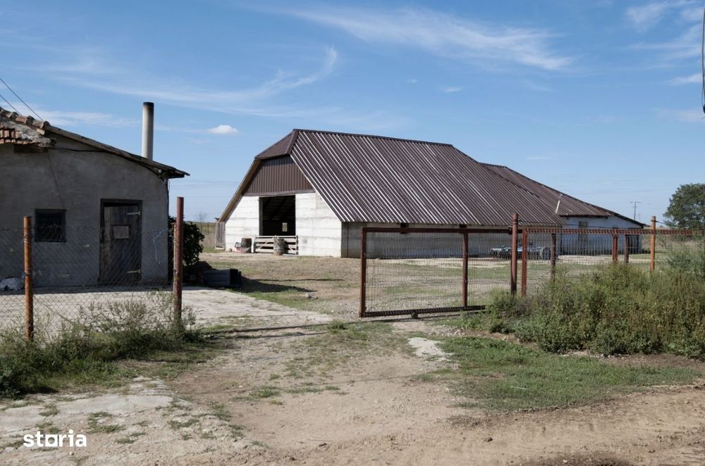 Ferma Iojib , hala noua pereti beton, curent trifazic, drum judetean,