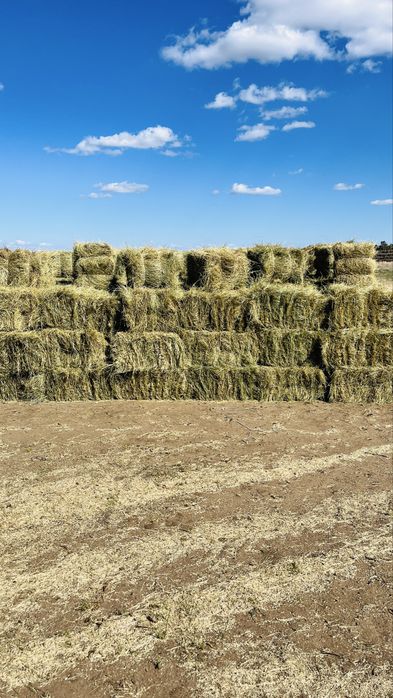 Тюки сено на продажу
