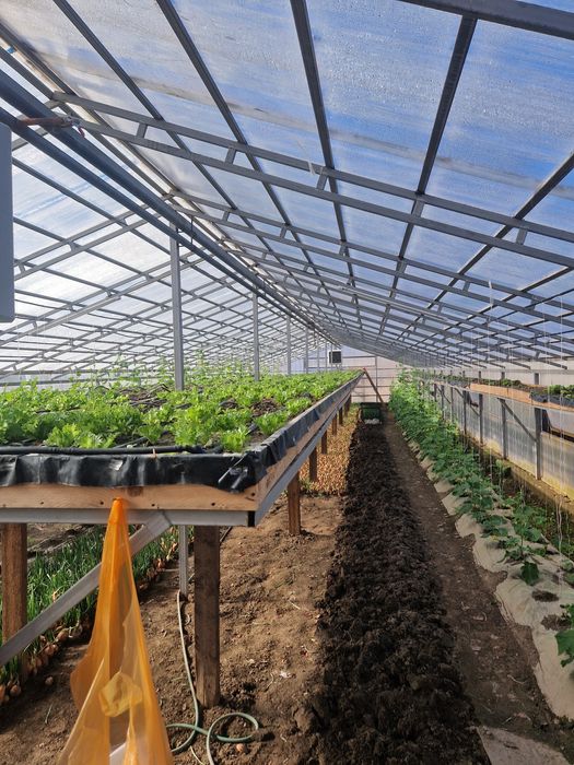 Продам дом с зимней теплицой