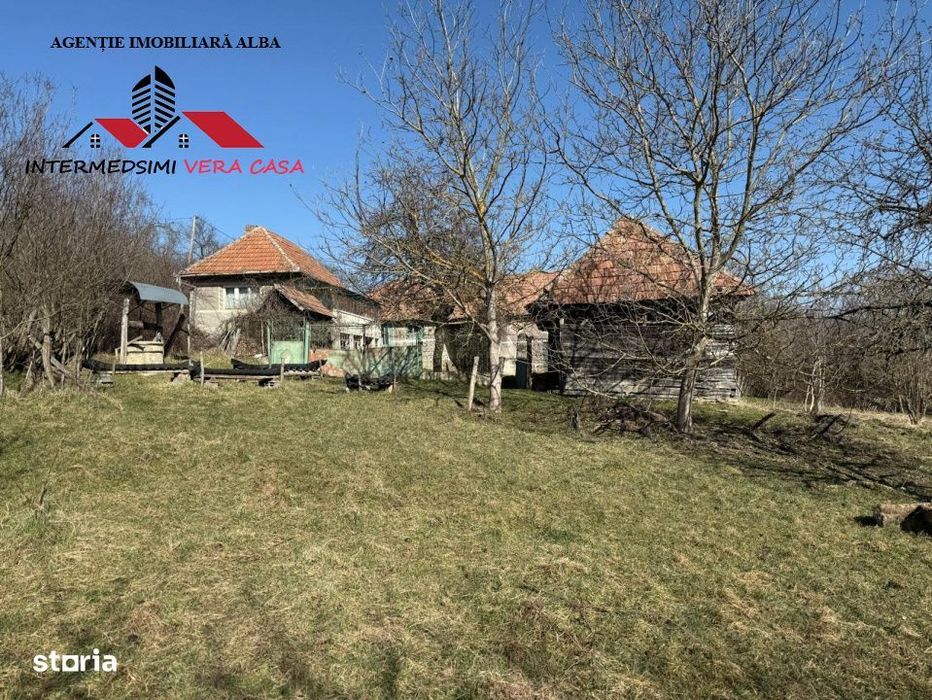 Casa si anexe cu un teren de 7701 mp de vanzare in Stauini  Jud Alba