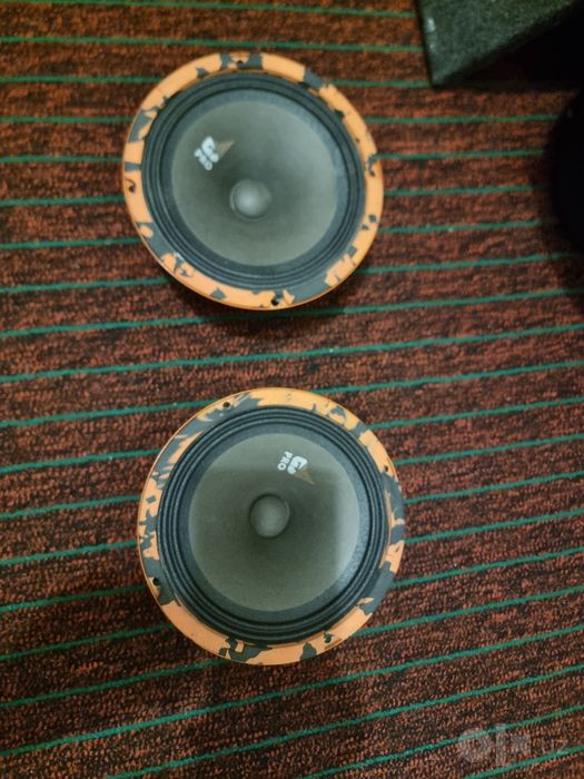DL Audio Gryphon Pro 165