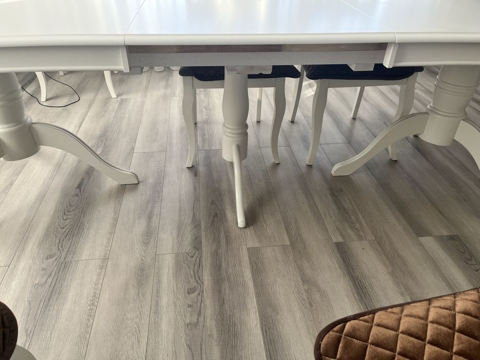 Стол + 8 стулья в отличном состоянии