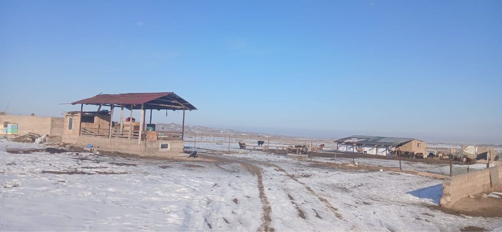 Сауыншы участок 1 га