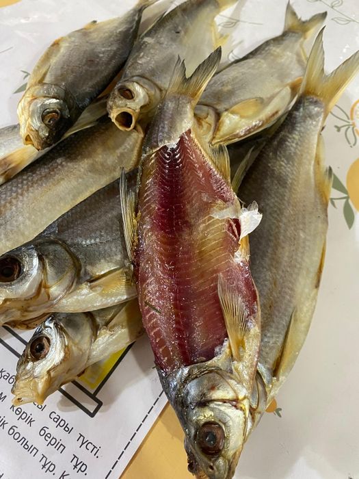 Кепкен майлы рыбец