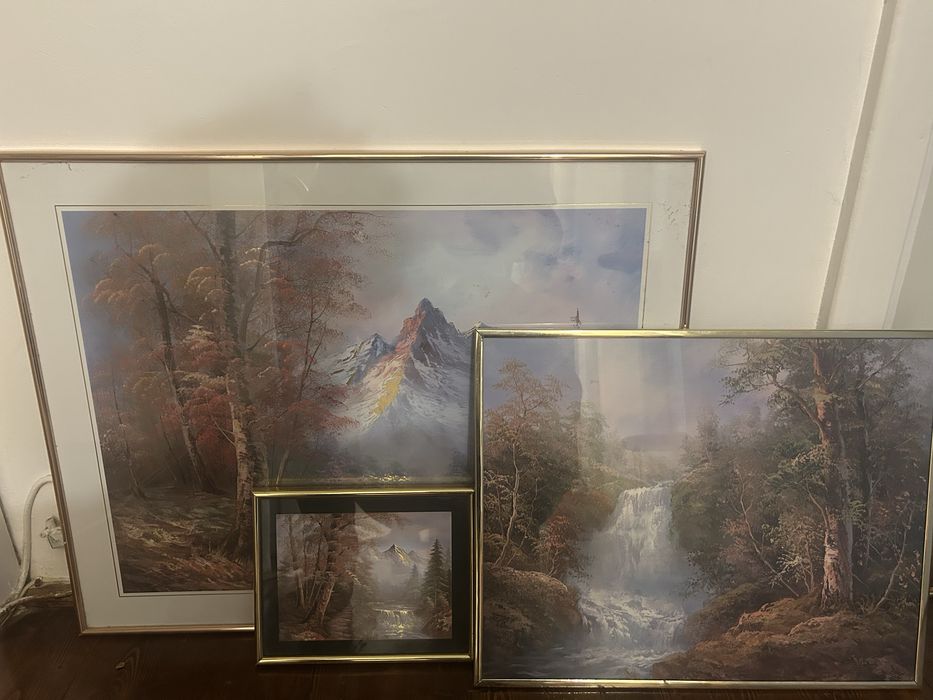 Vand tablouri ambientale