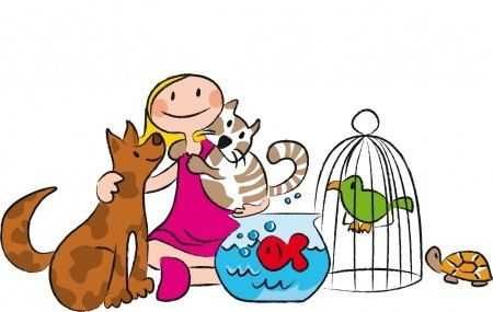 petsitting drumul taberei