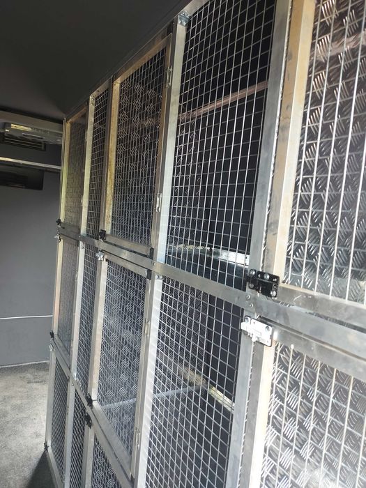 Echipez mașini transport câini