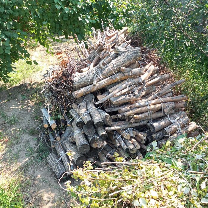 Дрова ивы сухие бесплатно