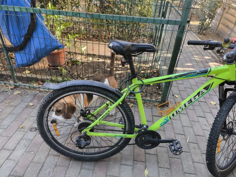 Bicicleta Omega  27,5 inch