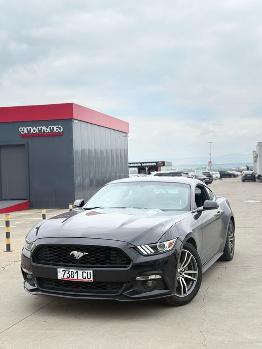 Аренда авто с водителем Mustang
