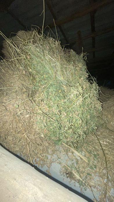 Beda bog’i sotiladi