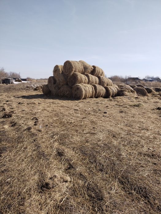 Продам Дом с Покровка