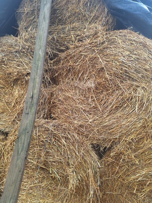 De vânzare baloți de paie