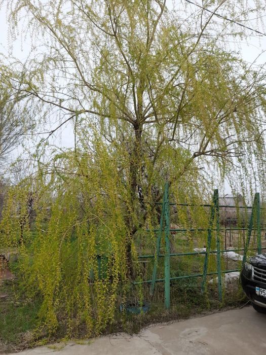 Продается дача на против города Алатау