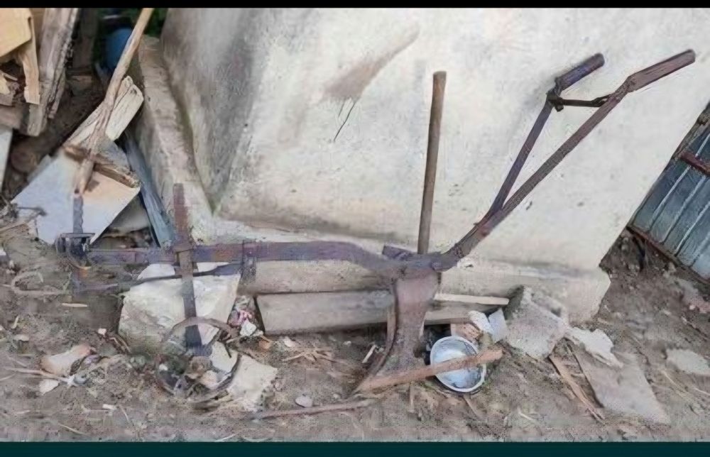 Pluguri și prășitoare pentru un cal