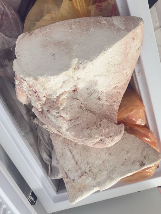 продам горб верблюжий (оркеш)